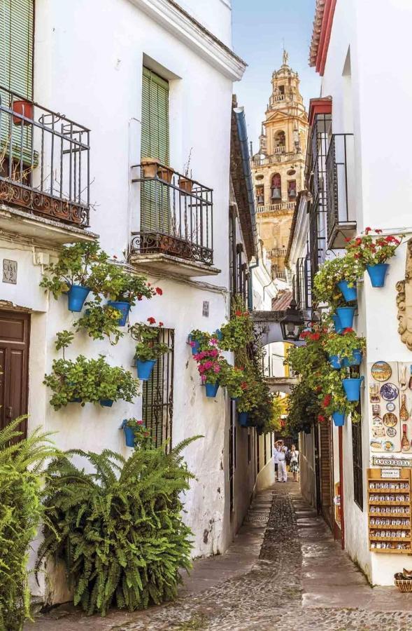 Appartamento La Terraza Del Puente Y Mezqt-Catedral Cordova Esterno foto